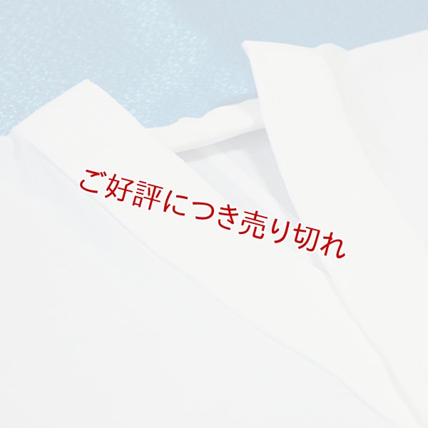 画像1: 夏物和装肌着　ポリエステル楊柳 半襦袢（L） (1)