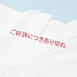 画像1: 夏物和装肌着　ベンベルグ絽 半襦袢（L）