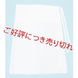 夏物和装肌着　ベンベルグ絽 裾除け（L）