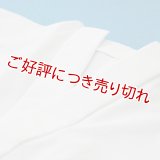 夏物和装肌着　ベンベルグ絽 半襦袢（M）