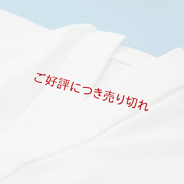 画像1: 夏物和装肌着　ベンベルグ絽 半襦袢（M） (1)