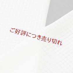 画像1: 夏物白半襟　化繊素材　ポリエステル　紋紗 小格子