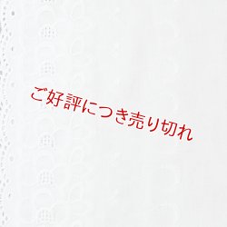 画像1: 和装肌着　レース袖付き半襦袢　白レース　袷襟掛け　(01)　M