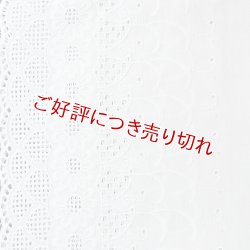 画像1: 和装肌着　レース袖付き半襦袢　白レース　袷襟掛け　(03)　L