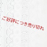 和装肌着　レース袖付き半襦袢　白レース　袷襟掛け　(06)　M