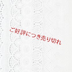 画像1: 和装肌着　レース袖付き半襦袢　白レース　袷襟掛け　(06)　M