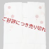 和装肌着　刺繍袖付き半襦袢　袷襟掛け　赤（L）