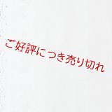 和装肌着　レース袖付き半襦袢　白レース　袷襟掛け　(01)　L