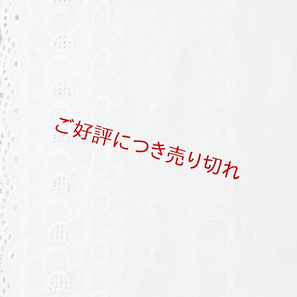 画像1: 和装肌着　レース袖付き半襦袢　白レース　袷襟掛け　(01)　L (1)