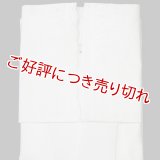 夏物和装肌着　白レース 半襦袢  絽襟掛け　(01)　（S）