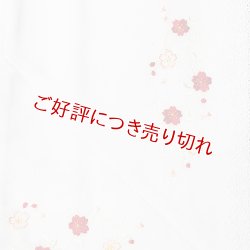 画像1: 和装肌着　刺繍レース裾除け　赤（M）