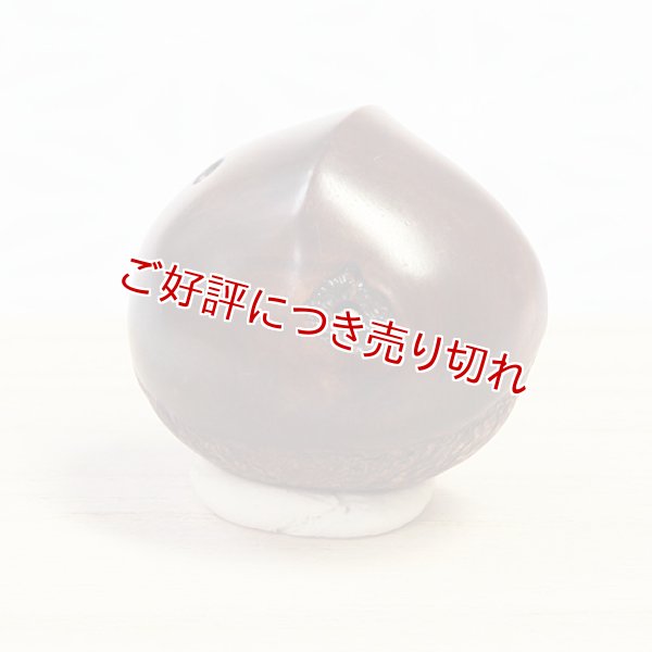画像1: 黄楊根付　栗（虫入り）【2015年11月30日公開】 (1)