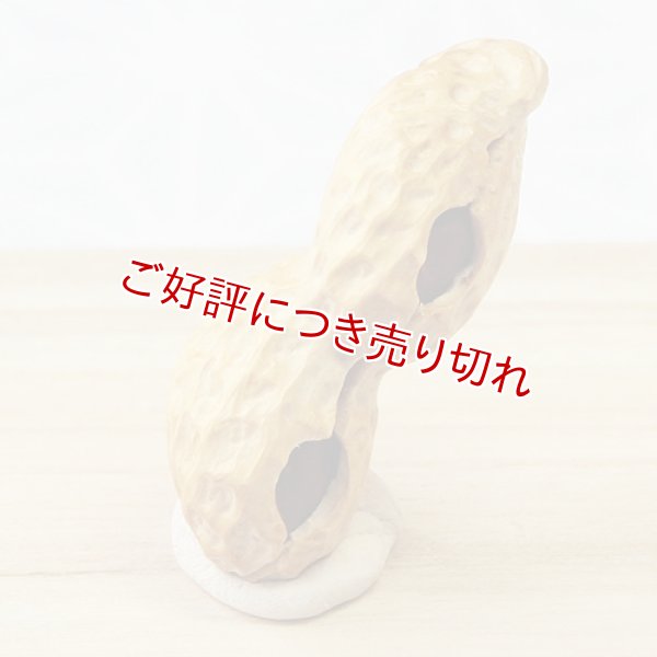 画像1: 黄楊根付　落花生（実入り）　【2015年12月25日公開】 (1)