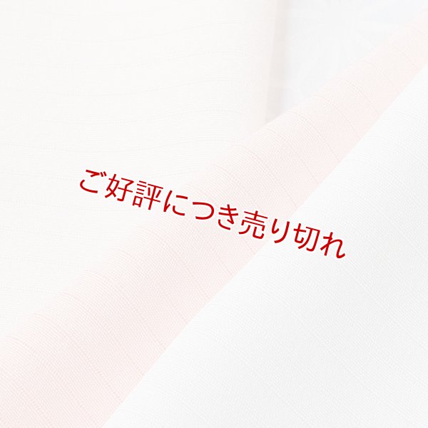 画像1: 絽　友禅半襟　一色吸い上げぼかし　虹色（にじいろ）（22） (1)