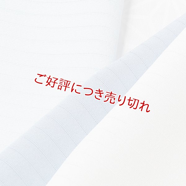 画像1: 絽　友禅半襟　一色吸い上げぼかし　薄花桜（うすはなざくら）（26） (1)