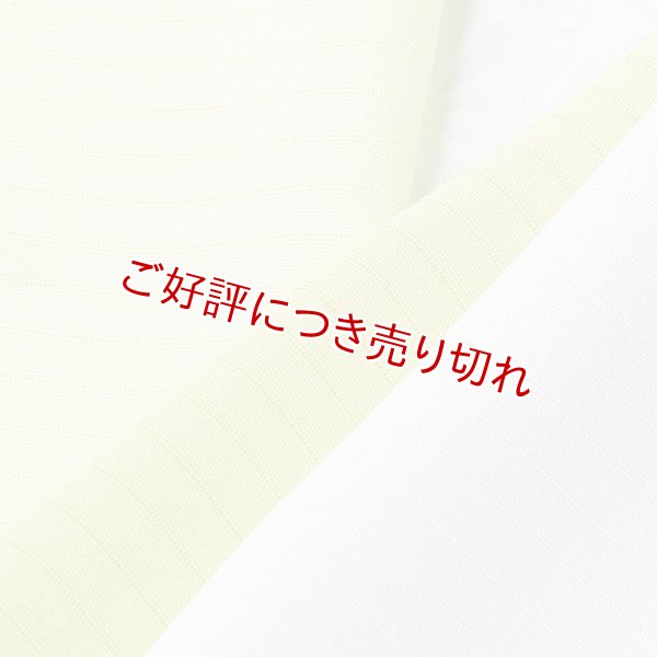 画像1: 絽　友禅半襟　一色吸い上げぼかし　若柳色（わかやぎいろ）（24） (1)