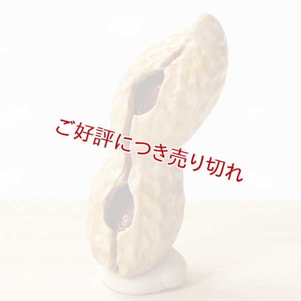 画像1: 黄楊根付　落花生　 【2個実入り／菅名入り】　【2016年09月26日公開】 (1)