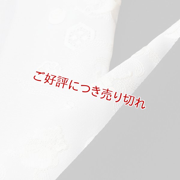 画像1: 黒留袖（礼装用）半襟　【正絹素材】　宝づくし（白／白） (1)