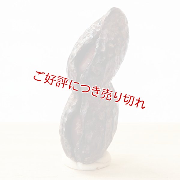 画像1: 黒檀根付　落花生【岡壱名入り／2個実入り】　【2016年11月28日公開】 (1)
