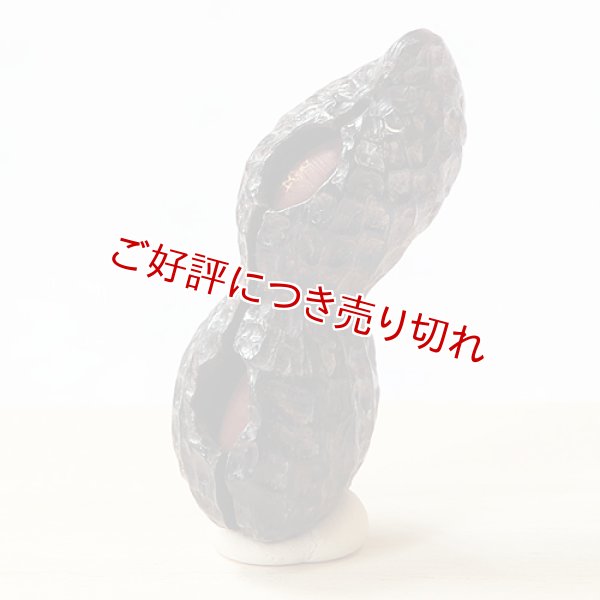 画像1: 黒檀根付　落花生（黒檀）【2個実入り／菅名入り】　【2017年01月27日公開】 (1)