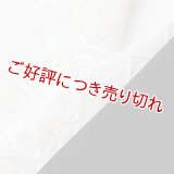 刺繍半襟　宝づくし全通　白（03）