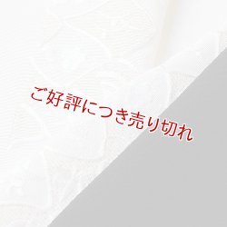 画像1: 刺繍半襟　宝づくし全通　白（03）