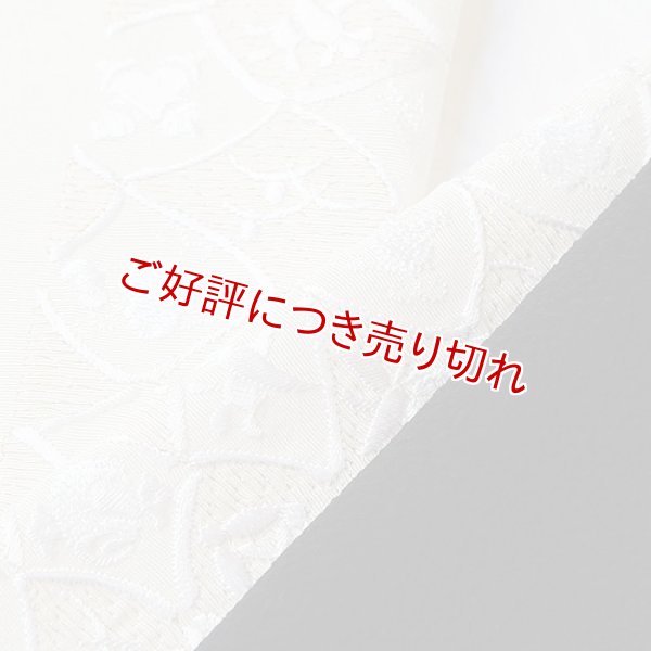 画像1: 刺繍半襟　宝づくし全通　サモンピンク（02） (1)