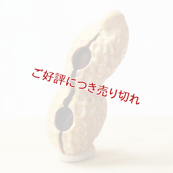 画像1: 黄楊根付　落花生【2個実入り／岡壱名入り】　【2017年02月27日公開】 (1)