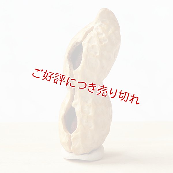 画像1: 黄楊根付　落花生【2個実入り／岡壱名入り】　【2017年03月27日公開】 (1)