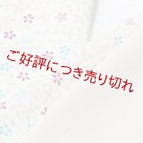 絽 友禅半襟　唐草小花　オフホワイト／天色（あまいろ）・梅紫（うめむらさき）（14）