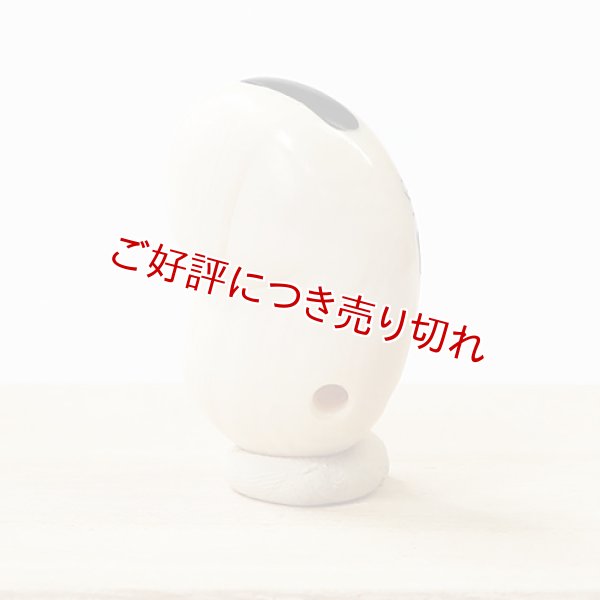 画像1: 象牙根付　そら豆（象牙）【岡壱名入り】　【2017年07月28日公開】 (1)
