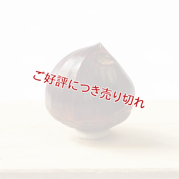 画像1: 黄楊根付　栗（シワ）【岡壱名入り】　【2017年09月11日公開】 (1)