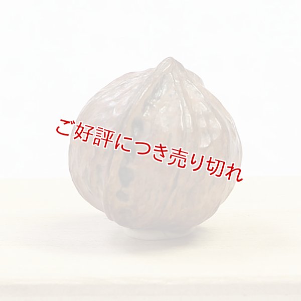 画像1: 黄楊根付　くるみ　【2017年10月25日公開】 (1)