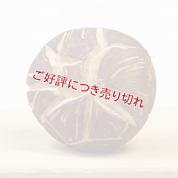 画像1: 黄楊根付　干し椎茸（どんこ）【岡壱名入り】　【2017年10月25日公開】 (1)