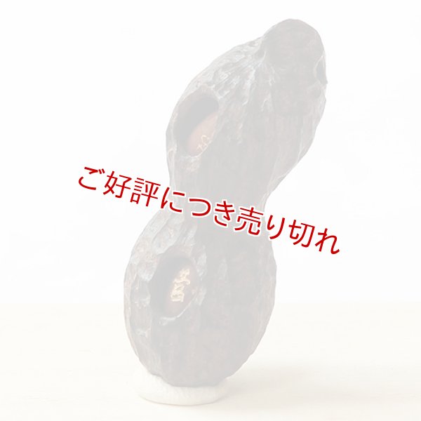 画像1: 黒檀根付　落花生（黒檀）【2個実入り／菅名入り】 (1)