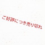 和装肌着　二部式襦袢　綸子友禅　七色あられ　半襦袢のみ　L