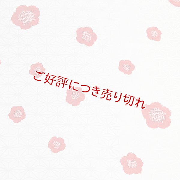 画像1: 和装肌着　二部式襦袢　綸子友禅　輪出し（りんだし）（白／赤）　半襦袢のみ　L (1)