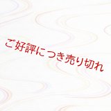 和装肌着　二部式襦袢　綸子友禅　七色流水　S