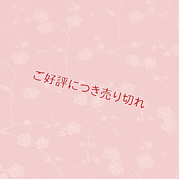 画像1: 和装肌着　二部式襦袢　紋縮緬（赤）　L (1)