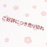 和装肌着　二部式襦袢　綸子友禅　輪出し（りんだし）（ピンク／赤）　S