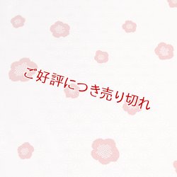 画像1: 和装肌着　二部式襦袢　綸子友禅　輪出し（りんだし）（ピンク／赤）　S