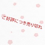 和装肌着　二部式襦袢　綸子友禅　小梅　半襦袢のみ　M