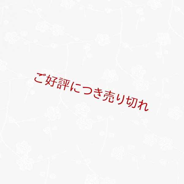 画像1: 和装肌着　二部式襦袢　紋縮緬（白）　L (1)