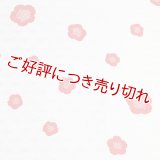 和装肌着　二部式襦袢　綸子友禅　輪出し（りんだし）（白／赤）　S