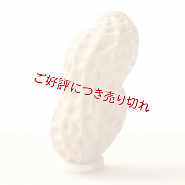 画像1: 黄楊根付　落花生 A【岡壱名入り】【2018年06月06日公開】 (1)