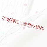 友禅半襟　立涌小花　オフホワイト地／黄枯茶／中紅・天色（06）