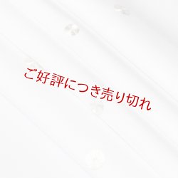 画像1: 黒留袖（礼装用）帯揚げ　銀駒刺繍　水玉