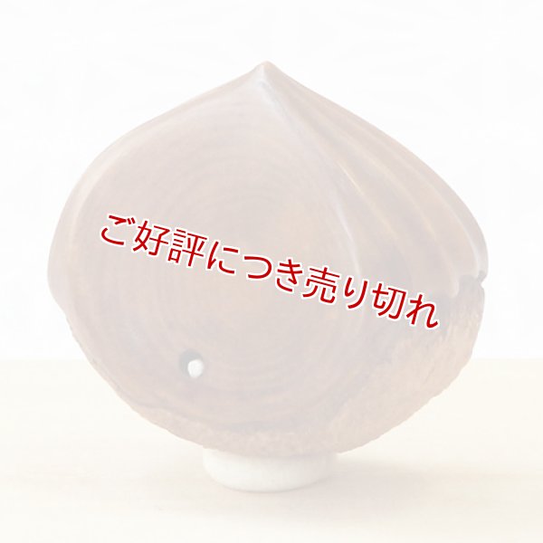 画像1: 黄楊根付　栗（虫入り）【2019年04月25日公開】 (1)