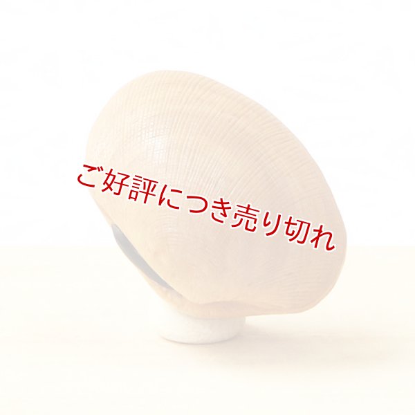 画像1: 黄楊根付　あさり貝【岡壱名入り】 (1)