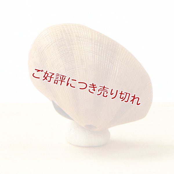 画像1: 黄楊根付　あさり貝（B）【岡壱名入り】【2019年7月1日】 (1)